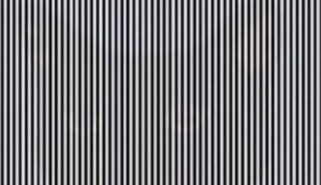 Such A Creature Is Hidden In This Picture, After Recognizing Which You Will Be Called The Fastest Person