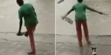 Funny Video: Video Of Woman Scaring Crocodile With Slippers Goes Viral On Social Media Crocodile Viral Videos