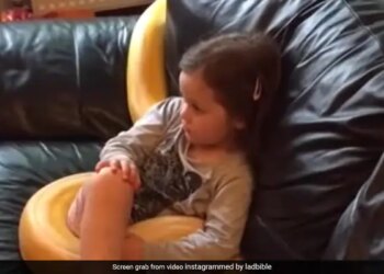 Little Girl Watches TV With Her 12 Foot Long Python Then This Happened You Cant Believe This Watch Viral Video