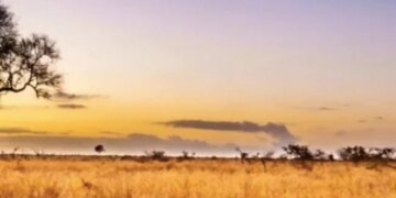 A Lion Is Hidden In The Picture, Find It In 20 Seconds And Become The Fastest, The Picture Is Getting Viral