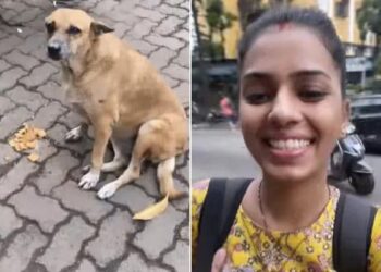 During The Corona Period, The Woman Fed The Dog, Met After 2 Years, The Video Will Win Hearts