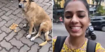 During The Corona Period, The Woman Fed The Dog, Met After 2 Years, The Video Will Win Hearts