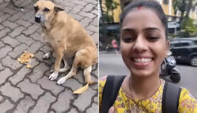 During The Corona Period, The Woman Fed The Dog, Met After 2 Years, The Video Will Win Hearts