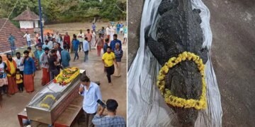 Vegetarian Crocodile Babiya Passed Away At The Sri Ananthapadmanabha Sawmy Temple Kerala