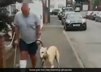 Dog Imitating Its Injured Owner Harsh Goenka Says Dogs Always Follow Their Master See Viral Video