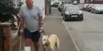 Dog Imitating Its Injured Owner Harsh Goenka Says Dogs Always Follow Their Master See Viral Video
