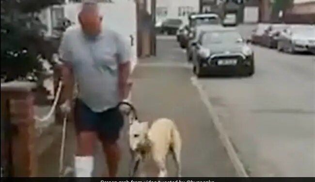 Dog Imitating Its Injured Owner Harsh Goenka Says Dogs Always Follow Their Master See Viral Video