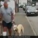 Dog Imitating Its Injured Owner Harsh Goenka Says Dogs Always Follow Their Master See Viral Video