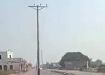 Watch: Electric Poles Installed In Middle Of Road In Pakistan Video Viral On Social Media