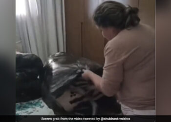 Woman Jugaad Hack To Carry Extra Luggage In Viral Video Twitter User Impressed See Viral Video
