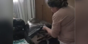Woman Jugaad Hack To Carry Extra Luggage In Viral Video Twitter User Impressed See Viral Video