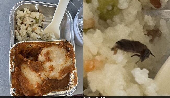 Passenger Tweets About Cockroach In Meal, Air Vistara Responds, Photo Went Viral On Social Medi