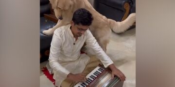 Dog Curious Reaction To Harmonium Sound Internet Loves It See Cute Viral Video