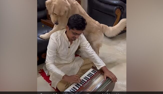 Dog Curious Reaction To Harmonium Sound Internet Loves It See Cute Viral Video