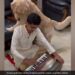 Dog Curious Reaction To Harmonium Sound Internet Loves It See Cute Viral Video