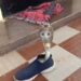 King Cobra Viral Video: Viral Video Dangerou Cobra Snake Hiding Inside Shoe In Mysore Karnataka