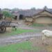 There Is A Shame In Speaking The Name Of This Village, If You Write On Facebook, You Will Be Blocked, People Are Upset With The Name