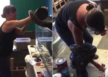 Pet Snake Attacks Owner As She Removes It From Cage: Viral Woman Try To Release Snake From Cage Python Grab Owner Hand Viral Video