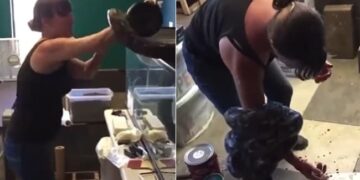 Pet Snake Attacks Owner As She Removes It From Cage: Viral Woman Try To Release Snake From Cage Python Grab Owner Hand Viral Video