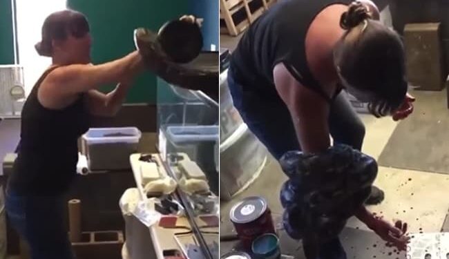 Pet Snake Attacks Owner As She Removes It From Cage: Viral Woman Try To Release Snake From Cage Python Grab Owner Hand Viral Video