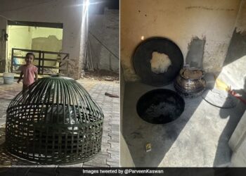 IFS ने बताया, फ्रिज के बिना गांव में कैसे लंबे समय तक रखा जाता है दूध ?