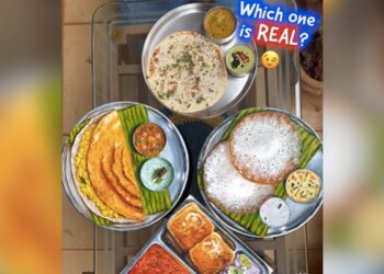 Watch: Real Or Fake Seeing In The Picture Tell Which Plate Is The Food