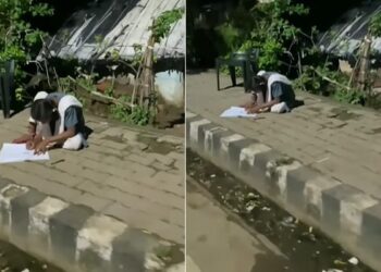 Motivational Viral Video: Girl Was Seen Studying Under The Street Lights Video Goes Viral On Social Media