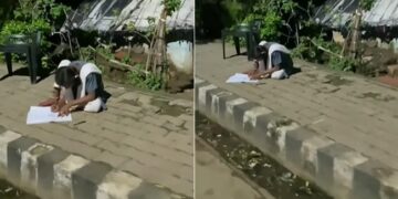 Motivational Viral Video: Girl Was Seen Studying Under The Street Lights Video Goes Viral On Social Media