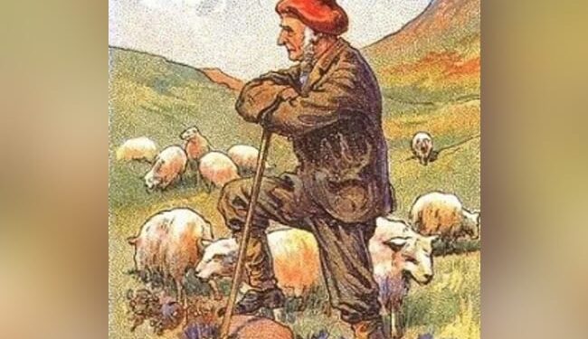 इस तस्वीर में छिपा है एक कुत्ता, कई लोग खोज नहीं पा रहे हैं, अगर नज़र है तेज तो खोजिए