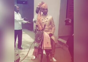 Dulhe Ka Funny Video: Desi Groom Sitting On Donkey For Baraat Video Goes Viral On Social Media