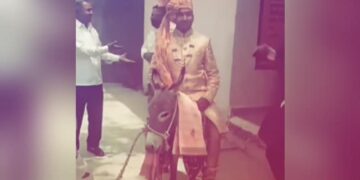Dulhe Ka Funny Video: Desi Groom Sitting On Donkey For Baraat Video Goes Viral On Social Media