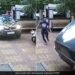 Tata Nexon Hit Vehicles Parked In The Parking | Man Crashes Brand New Car Into Parked Bikes This Happened Next