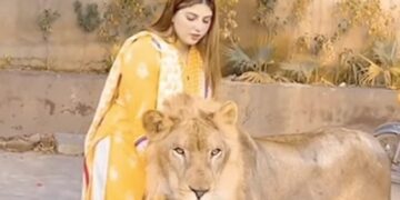 The Girl Was Caressing Her Head Standing In Front Of The Lion, Then The Lion Did Something That Would Startle