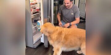 Man Teaches His Pet Dog To Open A Fridge What Happens Next You Will Not Believe See Viral Video