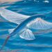 Video Of Fish Flying In The Air Over Water Is Going Viral On Social Media