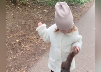 The Squirrel Ran Away After Kissing The Little Girl, People Said – Love Is Priceless, It Is A Game Of Emotions – छोटी बच्ची को Kiss कर भाग गई गिलहरी है, लोगों ने कहा