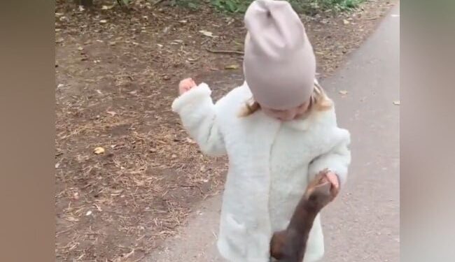 The Squirrel Ran Away After Kissing The Little Girl, People Said – Love Is Priceless, It Is A Game Of Emotions – छोटी बच्ची को Kiss कर भाग गई गिलहरी है, लोगों ने कहा