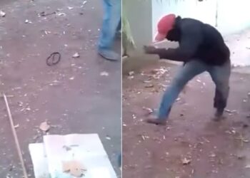 PRANK FRIENDS WITH A SNAKE: Friends Did A Funny Prank With The Person With Snake Dummy