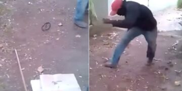 PRANK FRIENDS WITH A SNAKE: Friends Did A Funny Prank With The Person With Snake Dummy