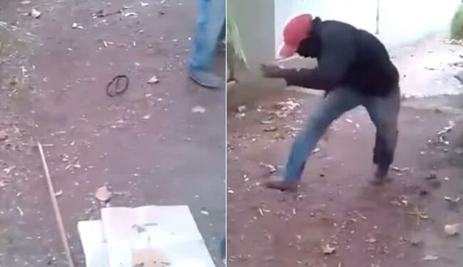 PRANK FRIENDS WITH A SNAKE: Friends Did A Funny Prank With The Person With Snake Dummy