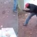 PRANK FRIENDS WITH A SNAKE: Friends Did A Funny Prank With The Person With Snake Dummy
