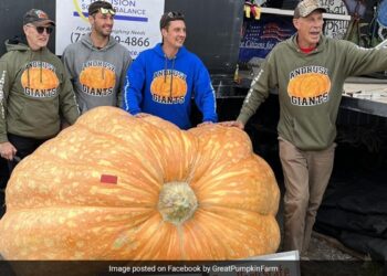 Farmer Grows 1158 Kilogram Pumpkin Creats Record In Newyork America | This 1158 Kg Pumpkin Carves Out New US Record