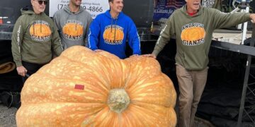 Farmer Grows 1158 Kilogram Pumpkin Creats Record In Newyork America | This 1158 Kg Pumpkin Carves Out New US Record