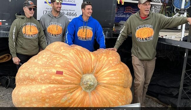 Farmer Grows 1158 Kilogram Pumpkin Creats Record In Newyork America | This 1158 Kg Pumpkin Carves Out New US Record