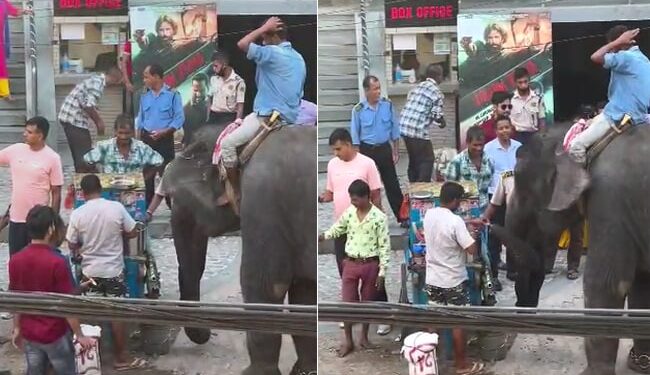 Elephant Eats Golgappe Stands Beside Vendor On Road Internet Loves It See Viral Video – सड़क किनारे लगे ठेले पर मज़े से गोलगप्पे खाता दिखा हाथी, वायरल हुआ Video, लोग बोले