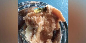 Passenger Ordered Samosa In Train, Got Yellow Paper With Potatoes In Return, IRCTC Gave Some Answer Like This