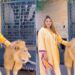 Sher Ka Trending Video: Woman Plays With Lions Like Toys Photoshoot With Wild Animal Viral Video