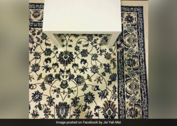 There Is A Phone Hidden In This Picture, For Many Years People Have Not Been Able To Find It