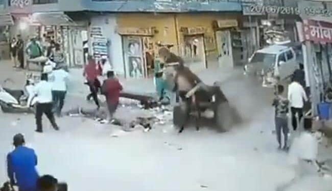 The Donkeys Life Was Saved Due To The Seat Belt, Otherwise The Car Driver Had Killed Him, See The Viral Video