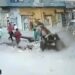 The Donkeys Life Was Saved Due To The Seat Belt, Otherwise The Car Driver Had Killed Him, See The Viral Video